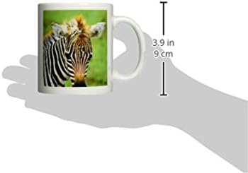 3dRose Közös Zebra Kenyai Afrikai Kerámia Bögre, 11-Uncia