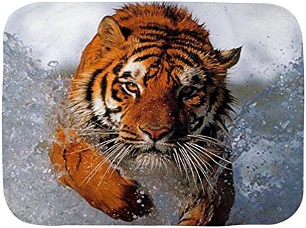 Királyi Oroszlán Baba Takaró Fehér Bengáli Tigris Splash