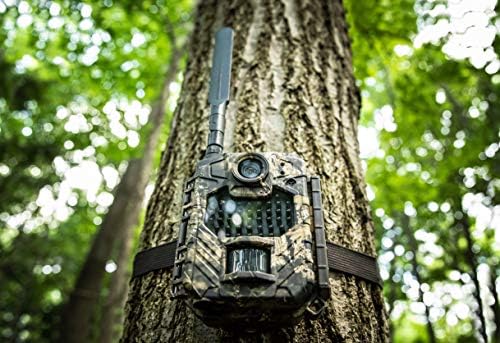 Titkos Felderítő Kamerák AW1-ATT Mobil Kamera, Realtree Fa (5731)