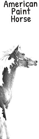 Művészeti Kutya Kft. Amerikai Paint Ló, Fából készült Bor Doboz egy Kép egy Ló