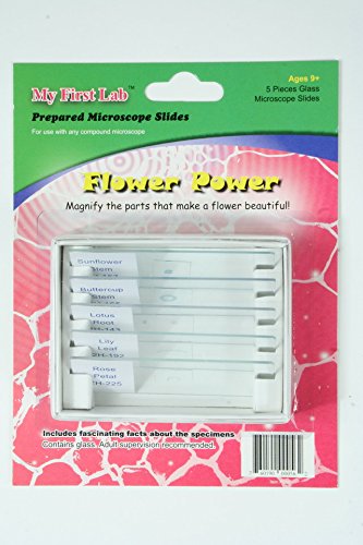 A Flower-Power Készített Dia Mini Szett (5 db/készlet)